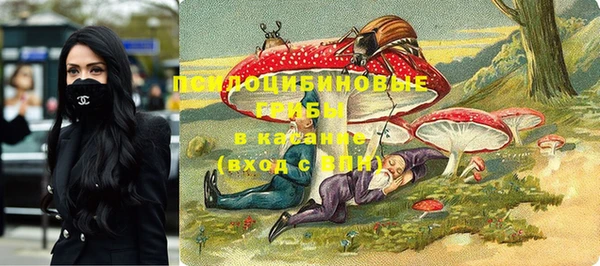 амф Алзамай