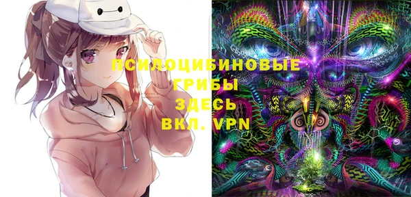PSILOCYBIN Алексин