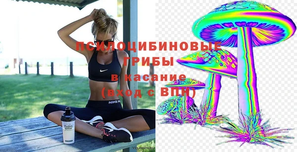 амф Алзамай