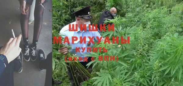 амф Алзамай