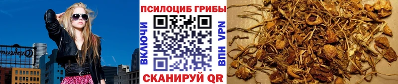 маркетплейс какой сайт  Снежногорск  блэк спрут зеркало  Псилоцибиновые грибы ЛСД  что такое  