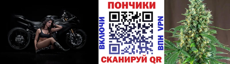 Конопля гибрид  Снежногорск 